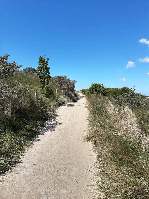 Picture of the dunes near Vlissingen as illustration for the Aquana crystal essences website