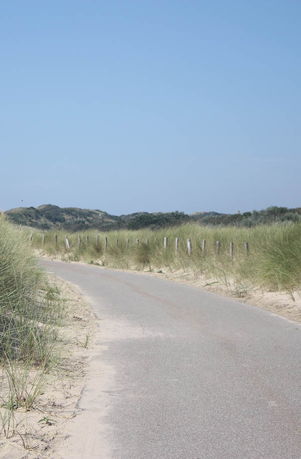 Picture of the dunes near Vlissingen as illustration for the Aquana crystal essences website