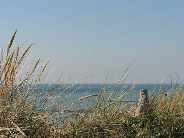 Picture of the dunes near Vlissingen as illustration for the Aquana crystal essences website