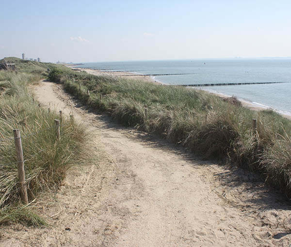 Picture of the dunes near Vlissingen as illustration for the Aquana crystal essences website