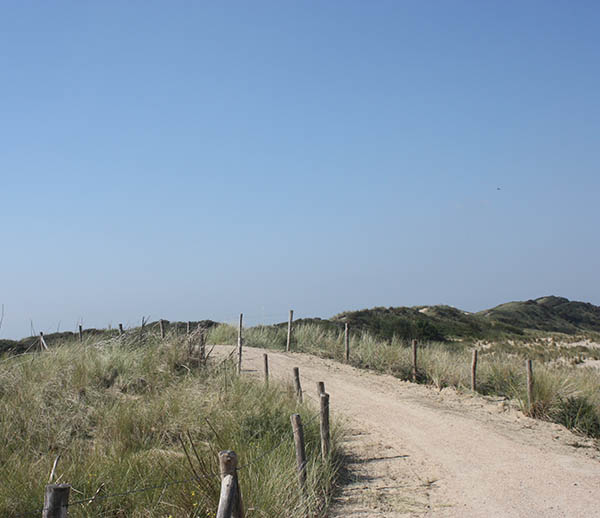 Picture of the dunes near Vlissingen as illustration for the Aquana crystal essences website
