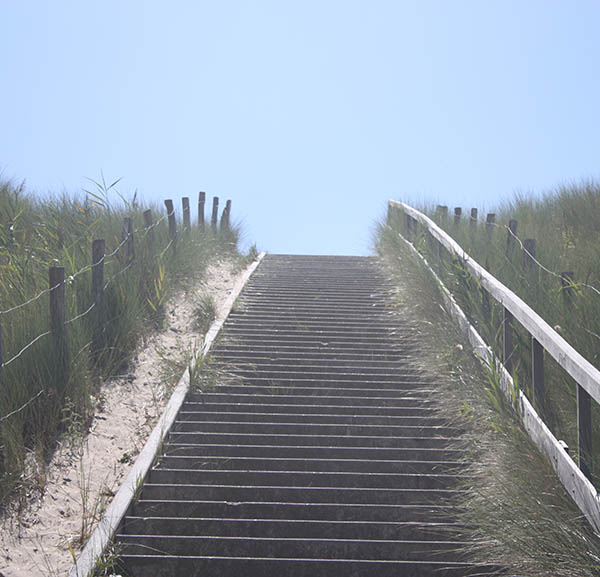 Picture of a staircase on the Dunes near Vlissingen as illustration for the Aquana crystal essences website